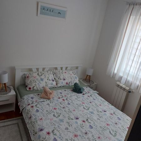 Appartement Stancicmilena à Požarevac Extérieur photo